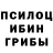 Псилоцибиновые грибы прущие грибы ohmore tomato