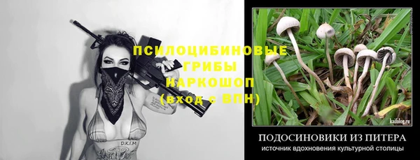 таблы Алексин