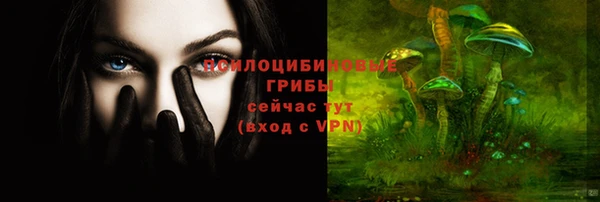 ECSTASY Алзамай
