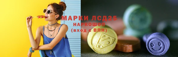 ECSTASY Алзамай
