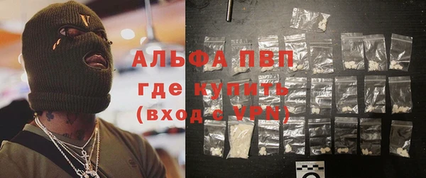 ECSTASY Алзамай