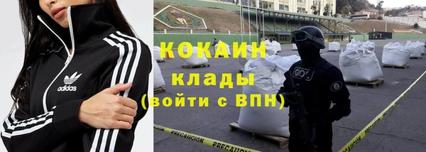 ECSTASY Алзамай