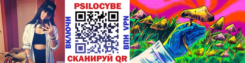 где продают   Сельцо  Псилоцибиновые грибы Cubensis 